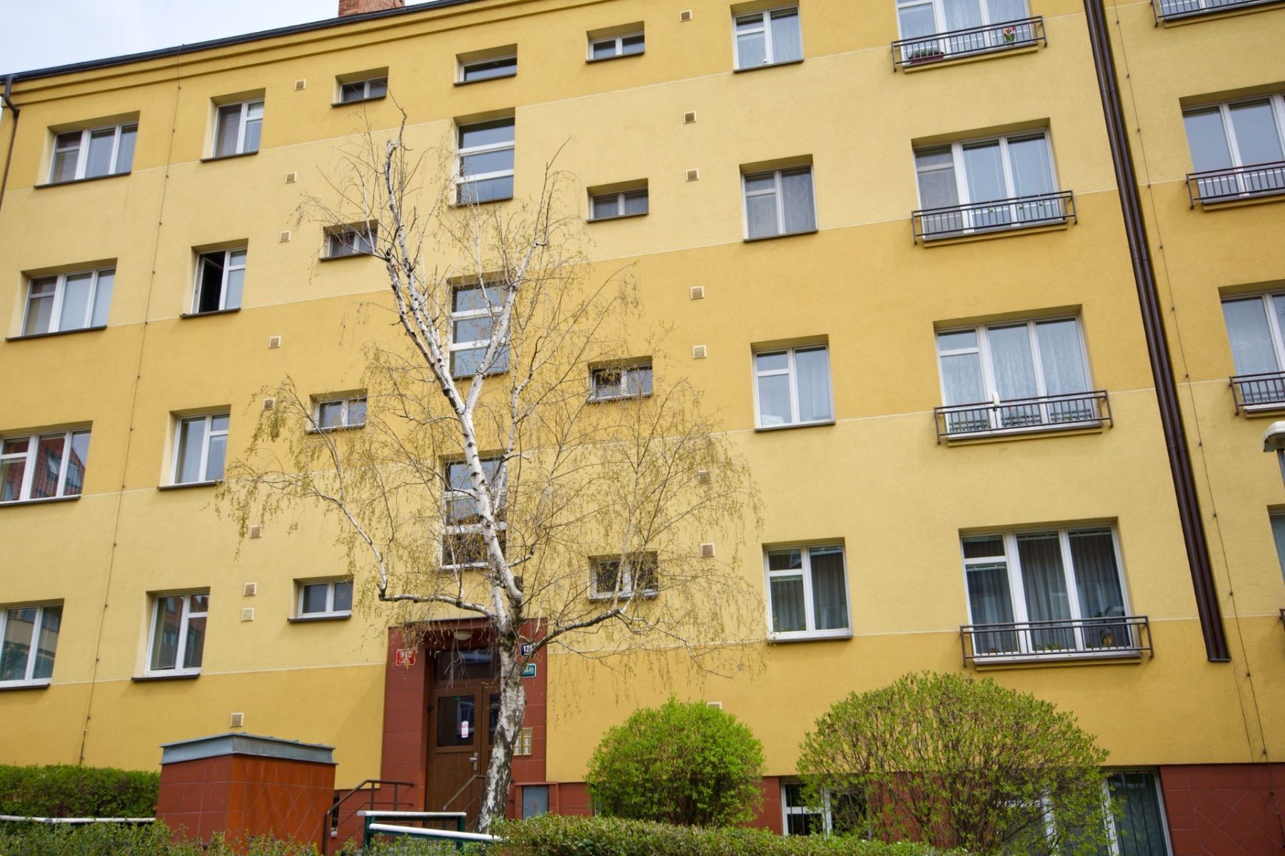 1+kk, Hartigova, Praha - Žižkov, 28 m² - 2