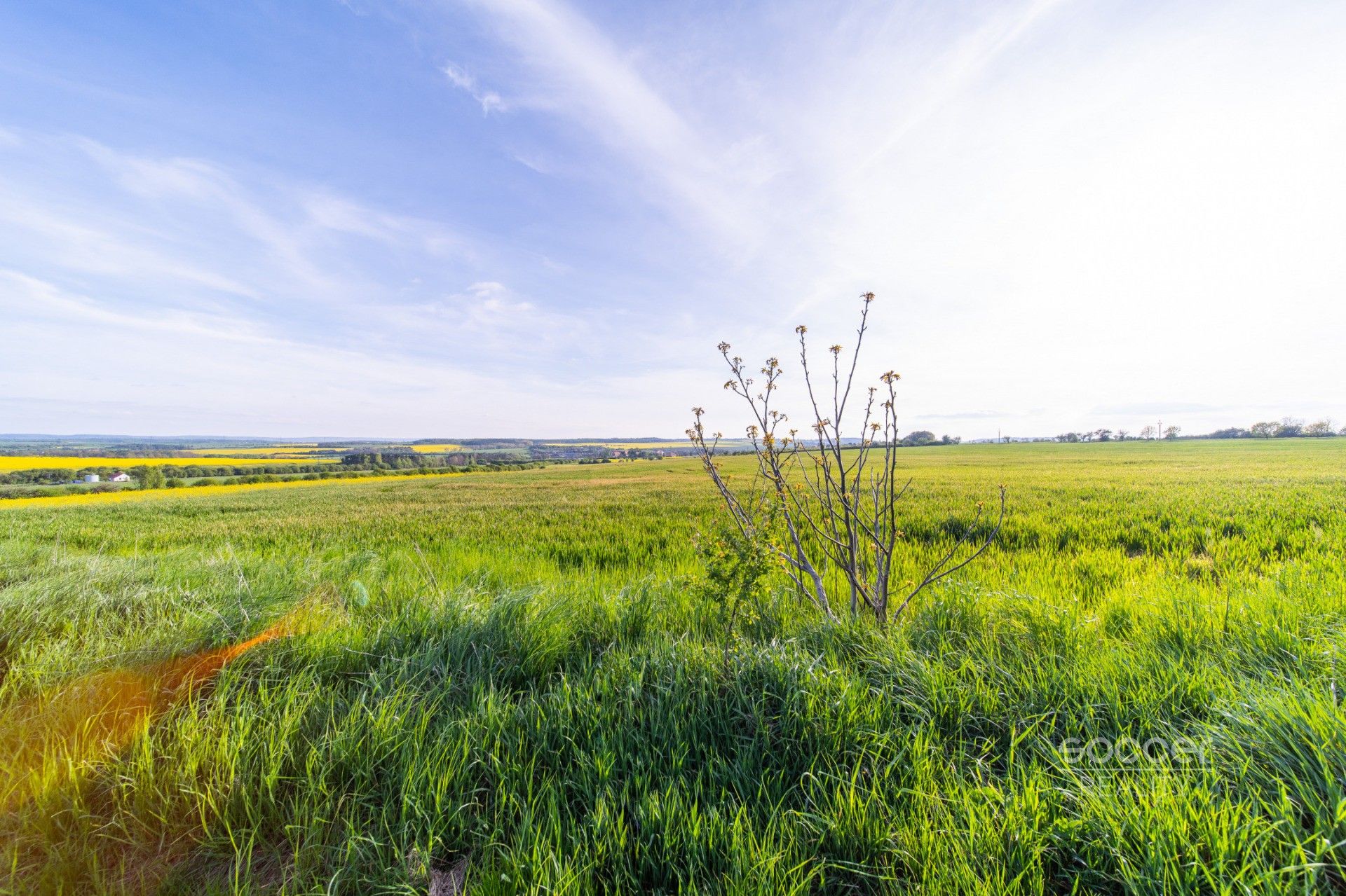 Prodej pozemek pro bydlení - Dobříč, 2 813 m² - 5