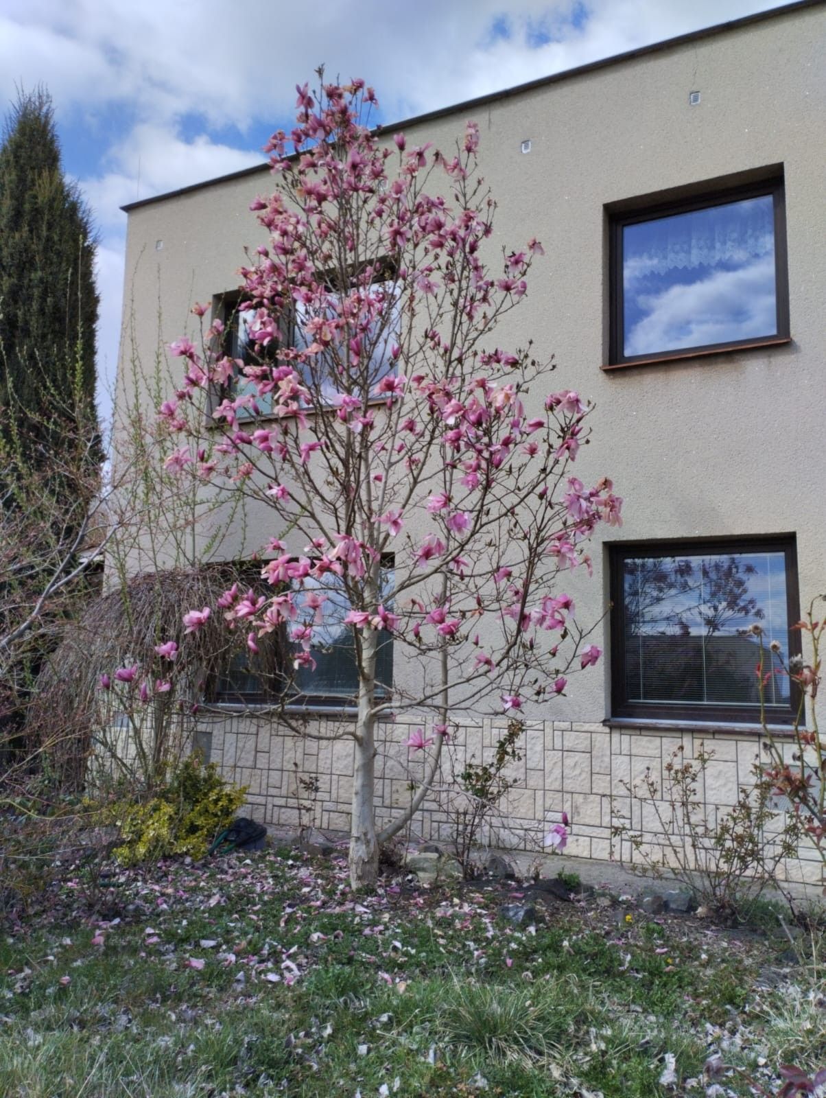 Rodinné domy, Pod Oborou, Kosmonosy, 257 m²