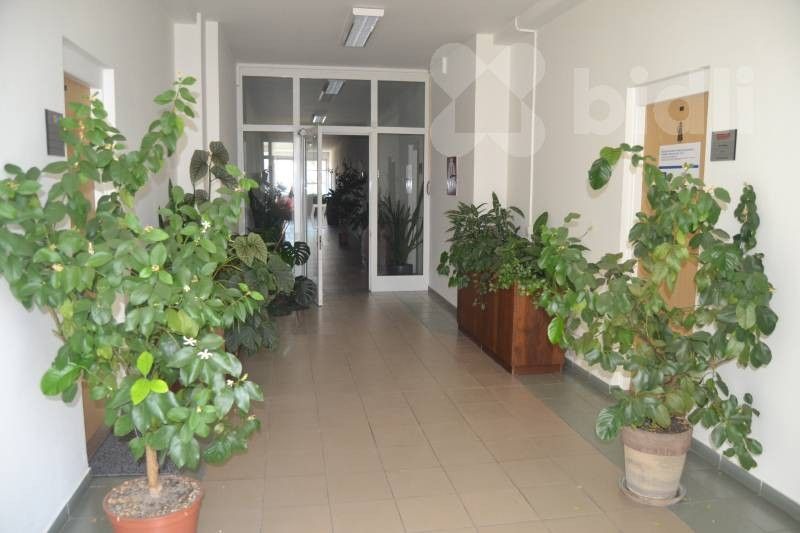 Pronájem kancelář - Za Olomouckou 4184, Prostějov, 34 m² - 5