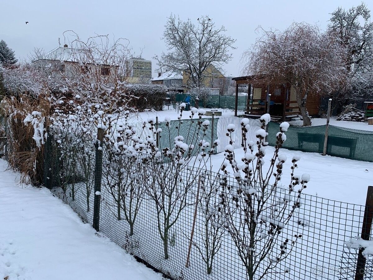 Zahrady, Pardubice, 530 03