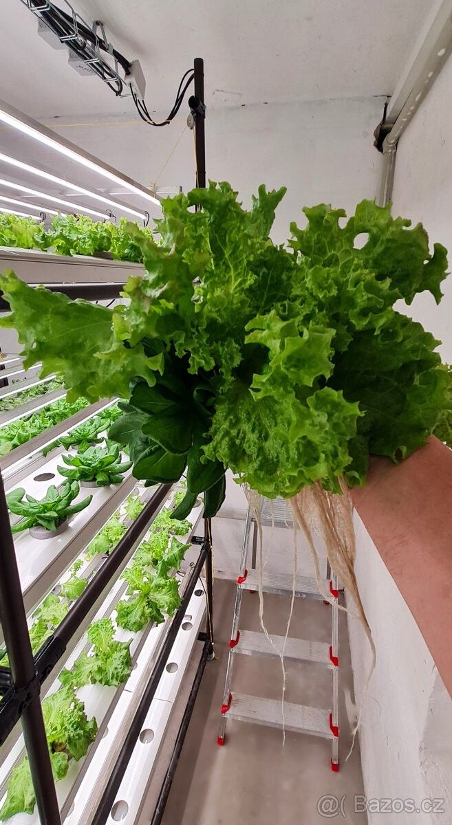 Pronájem obchodní prostory - Úžice u Kralup nad Vltavou, 277 45