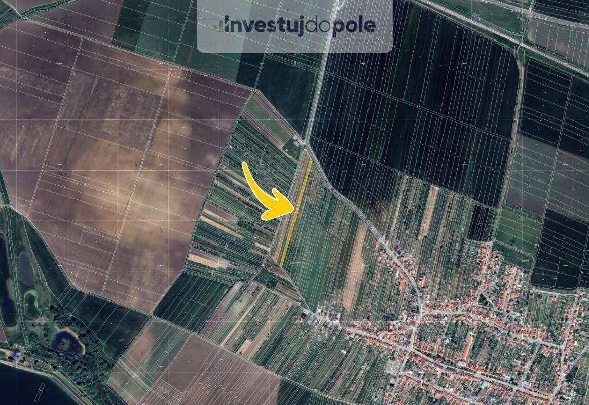 Prodej zemědělský pozemek - Šakvice