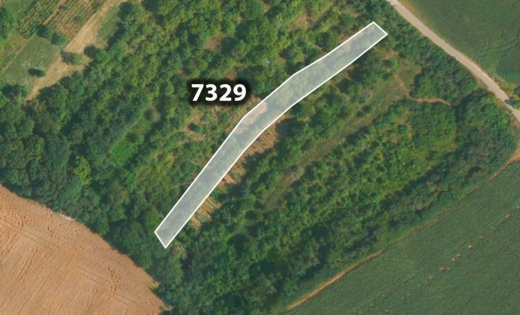 Zemědělské pozemky, Lovčice, 2 131 m²