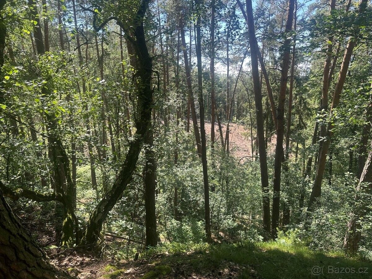 Prodej pozemek pro bydlení - Nebužely, 277 34