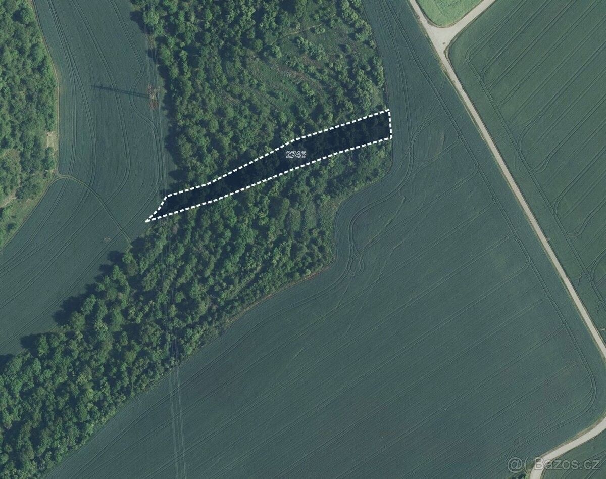 Pozemky pro bydlení, Uherčice u Hustopečí, 691 62