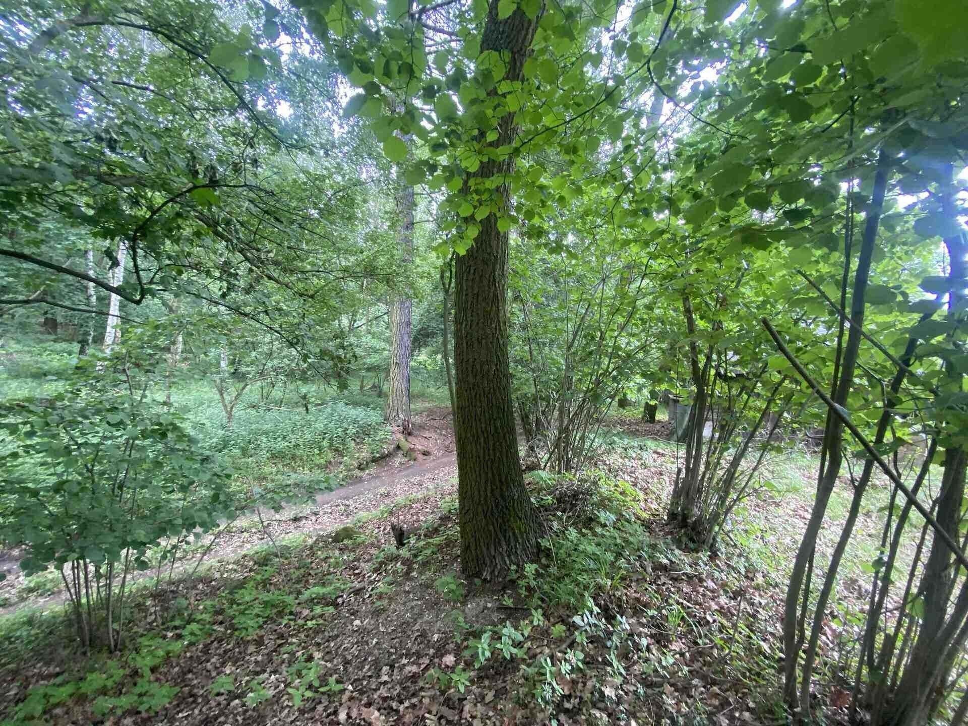 Pozemek, 576 m²