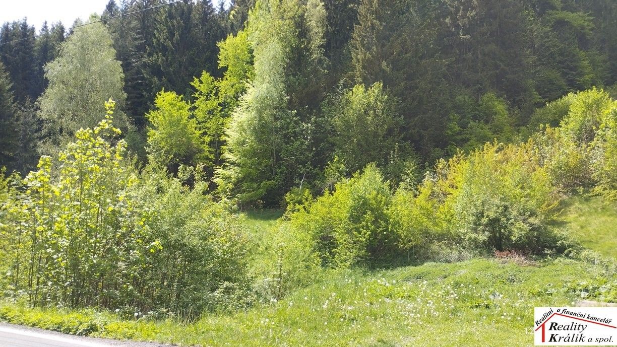 Pozemek pro bydlení · Česká, Tanvald - 4
