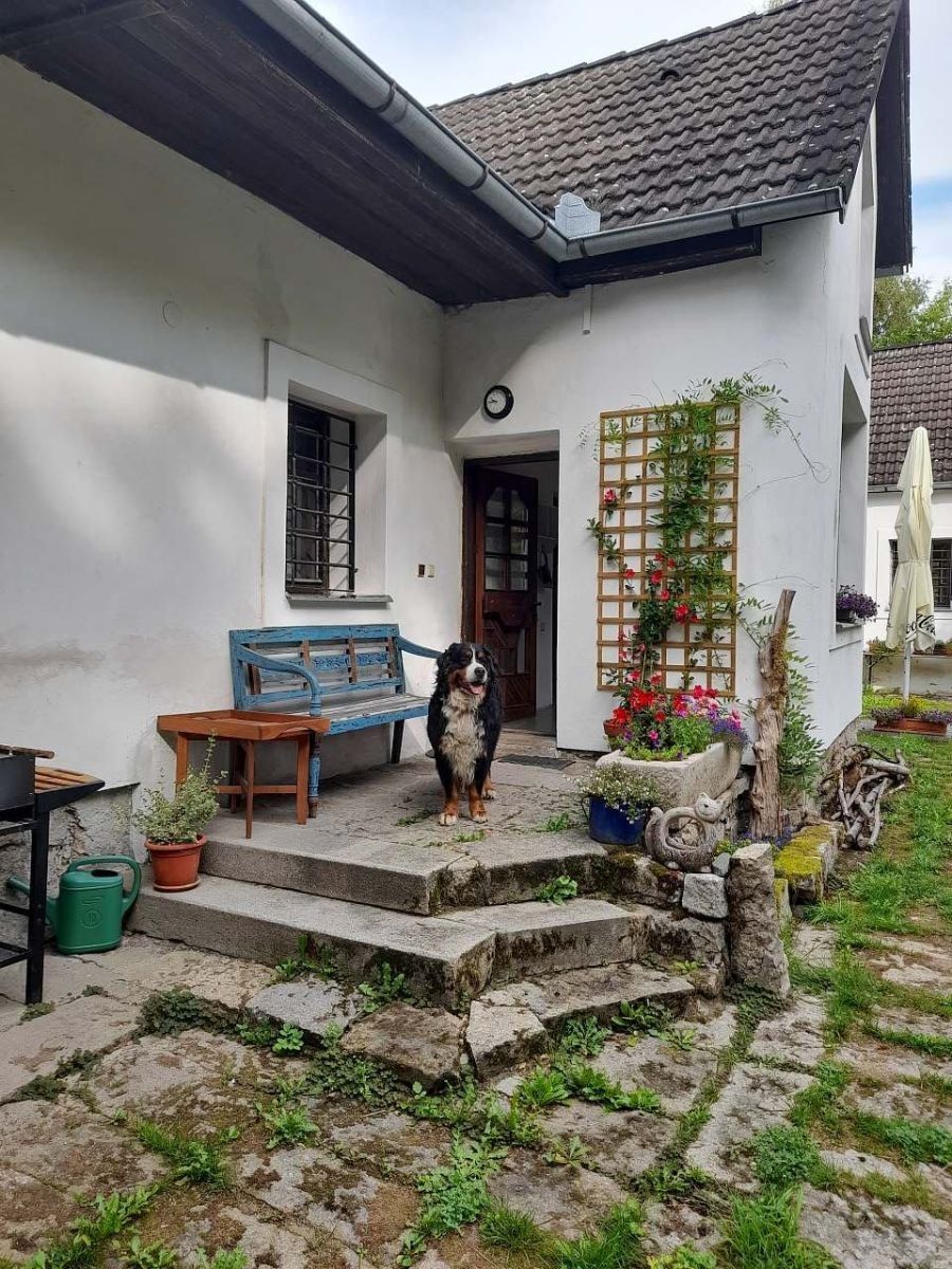 Chata · Číměř - Lhota u Sedla, Jihočeský kraj - 3