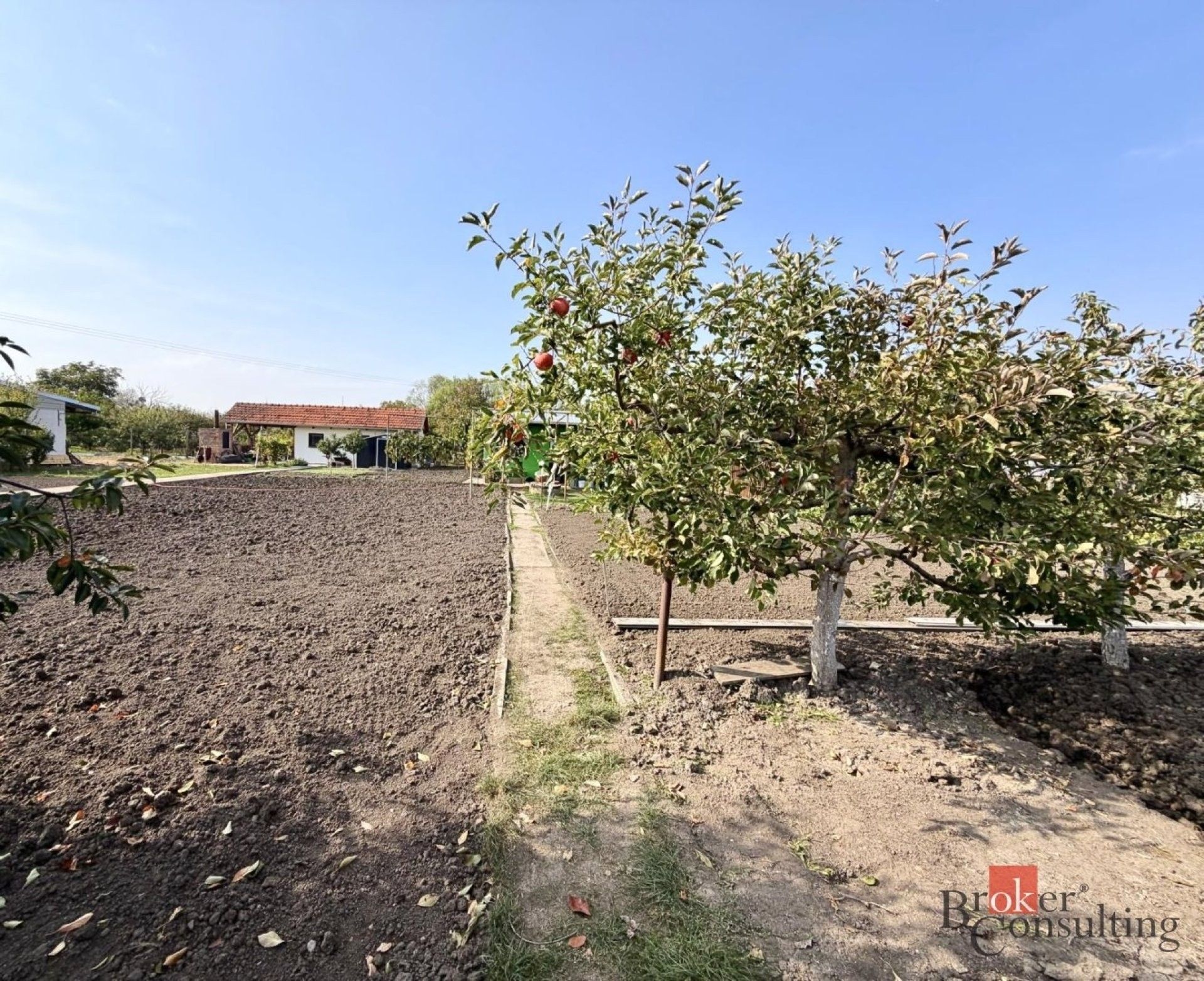 Prodej zahrada - Podivín, 401 m² - 5
