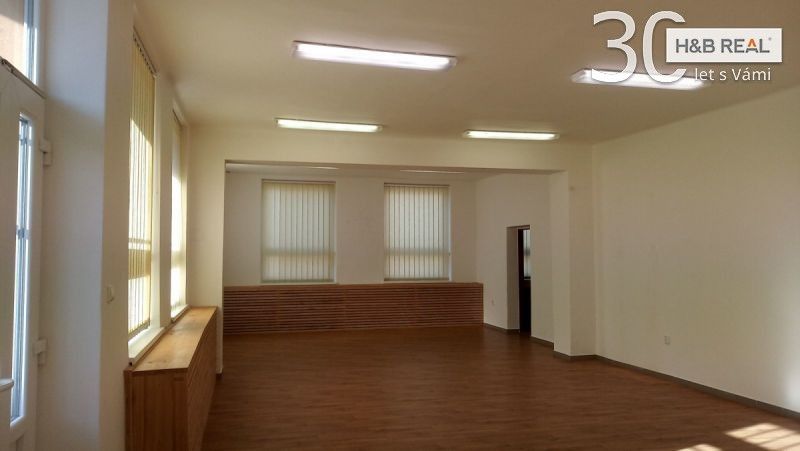 Obchodní prostory · 195 m² · Hranice - 3