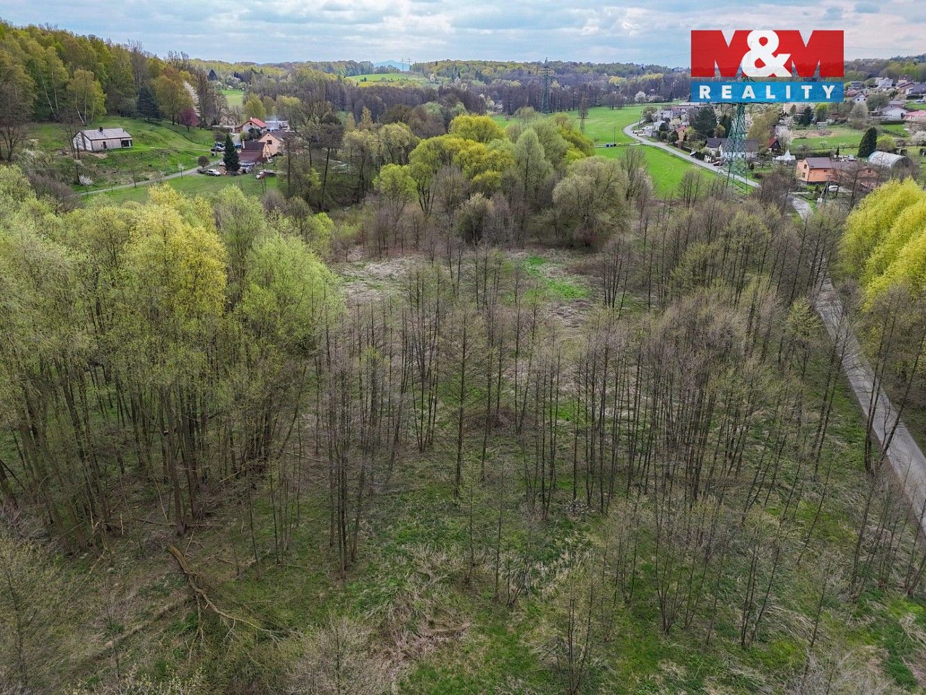 Zemědělský pozemek · Dětmarovice, okres Karviná, Moravskoslezský kraj - 4