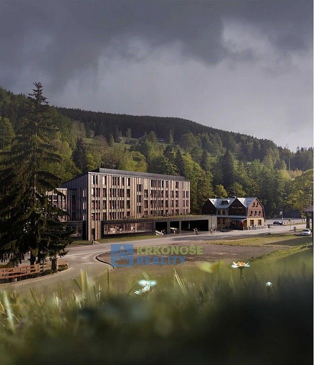 1+kk, Pec pod Sněžkou - Velká Úpa, okres Trutnov, Královéhradecký kraj, 38 m²
