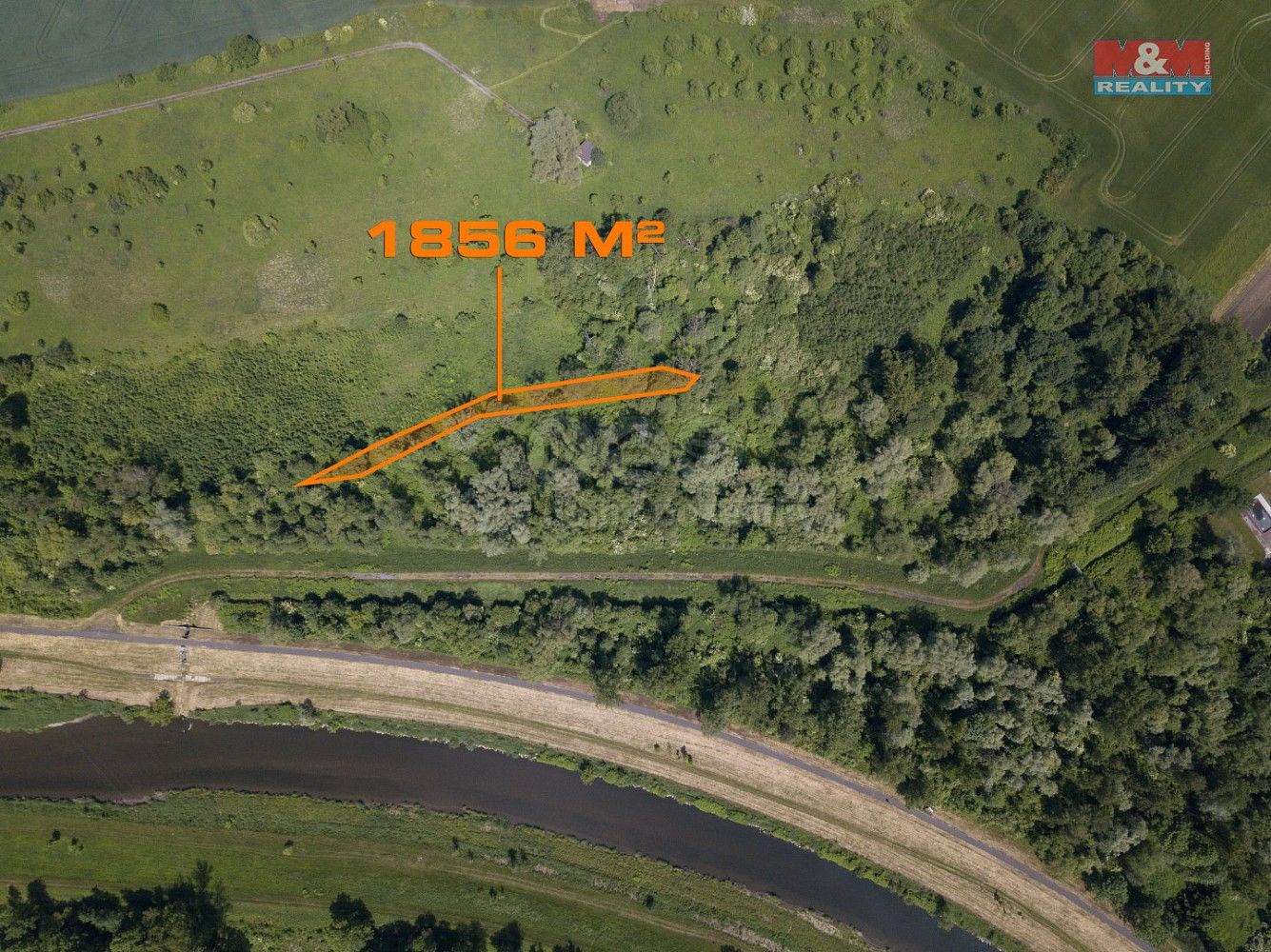 Les · Karviná - Staré Město, Moravskoslezský kraj - 3