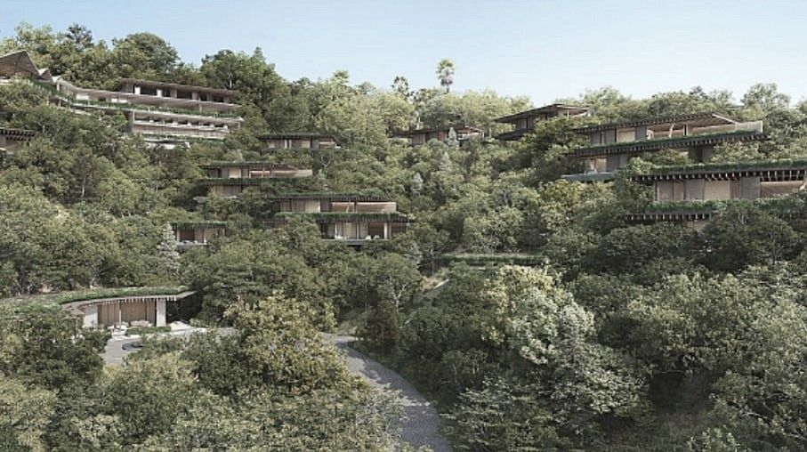 Pozemek pro bydlení, 6 500 m²
