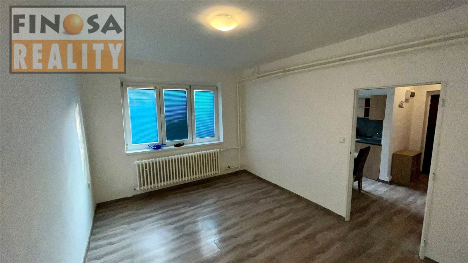 Pronájem byt 1+1 - Ženíškova, Ústí nad Labem, 30 m²