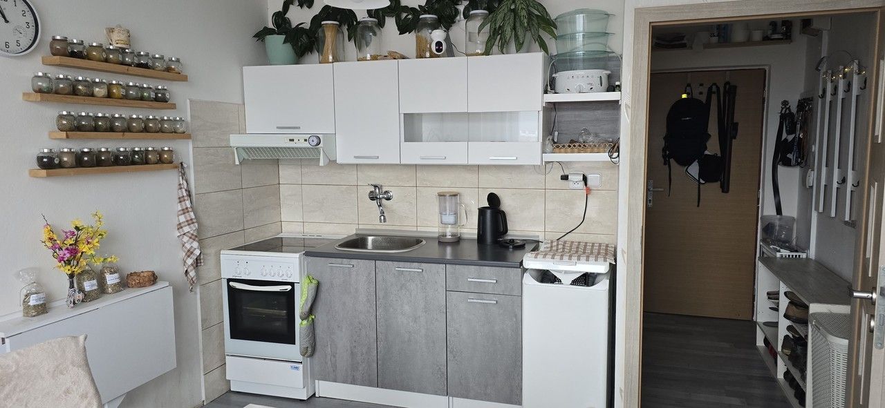 1+1, Seifertova, Ústí nad Labem, 36 m²