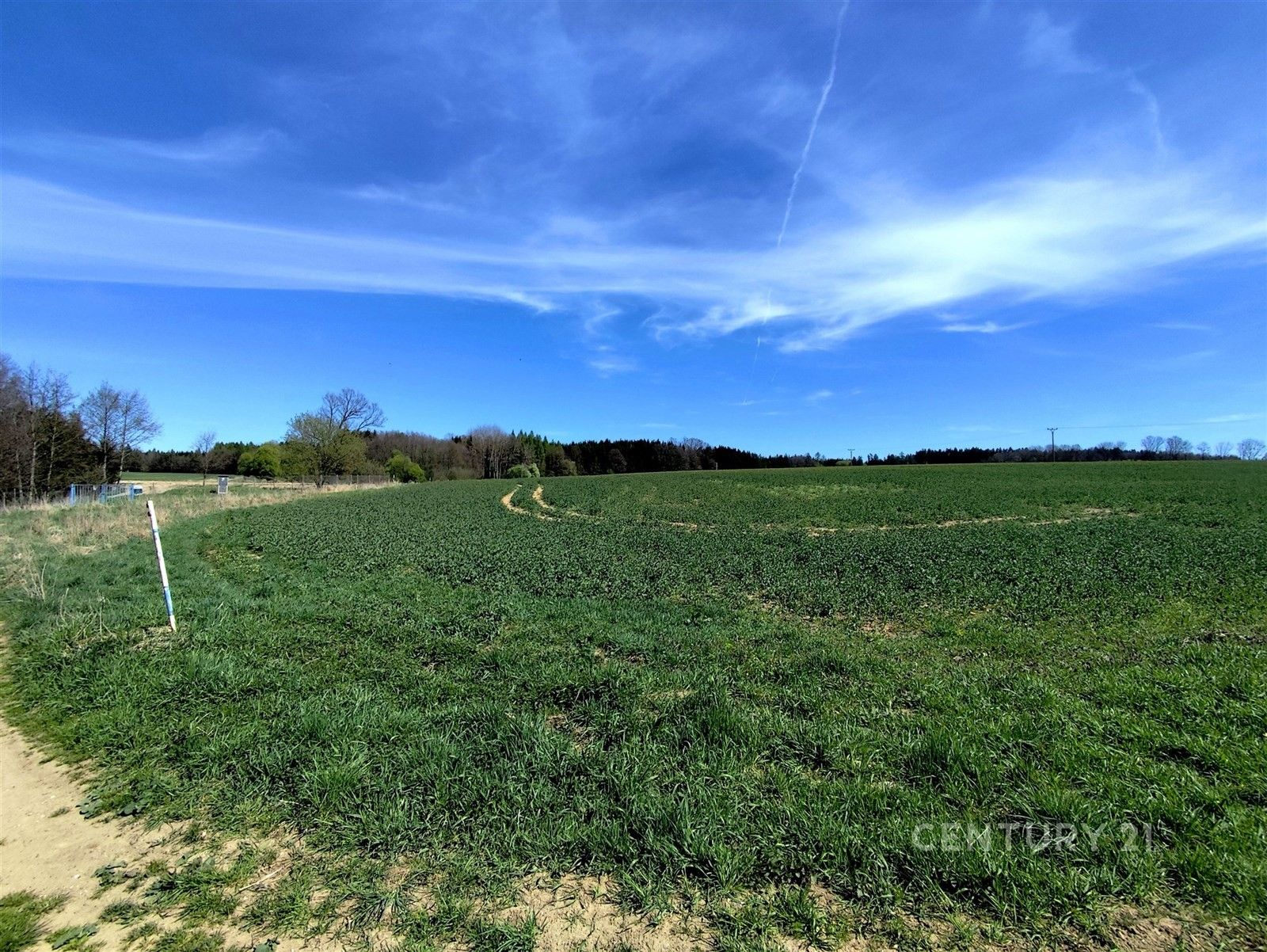 Prodej zemědělský pozemek - Nová Včelnice - 5