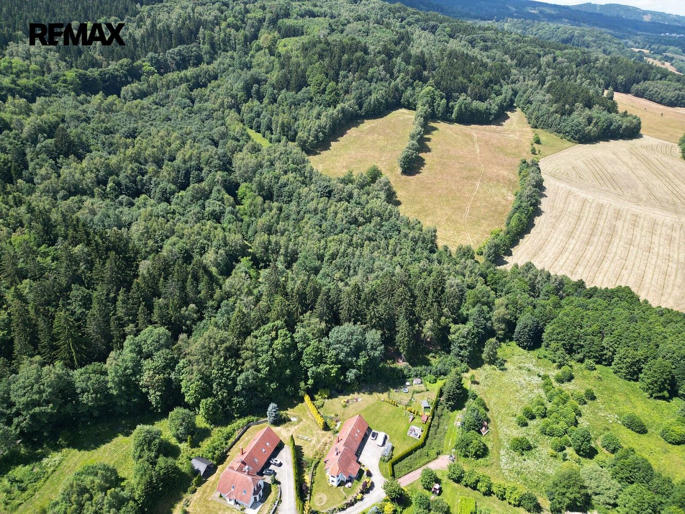 Lesy, Šimonovice, okres Liberec, Liberecký kraj - 2