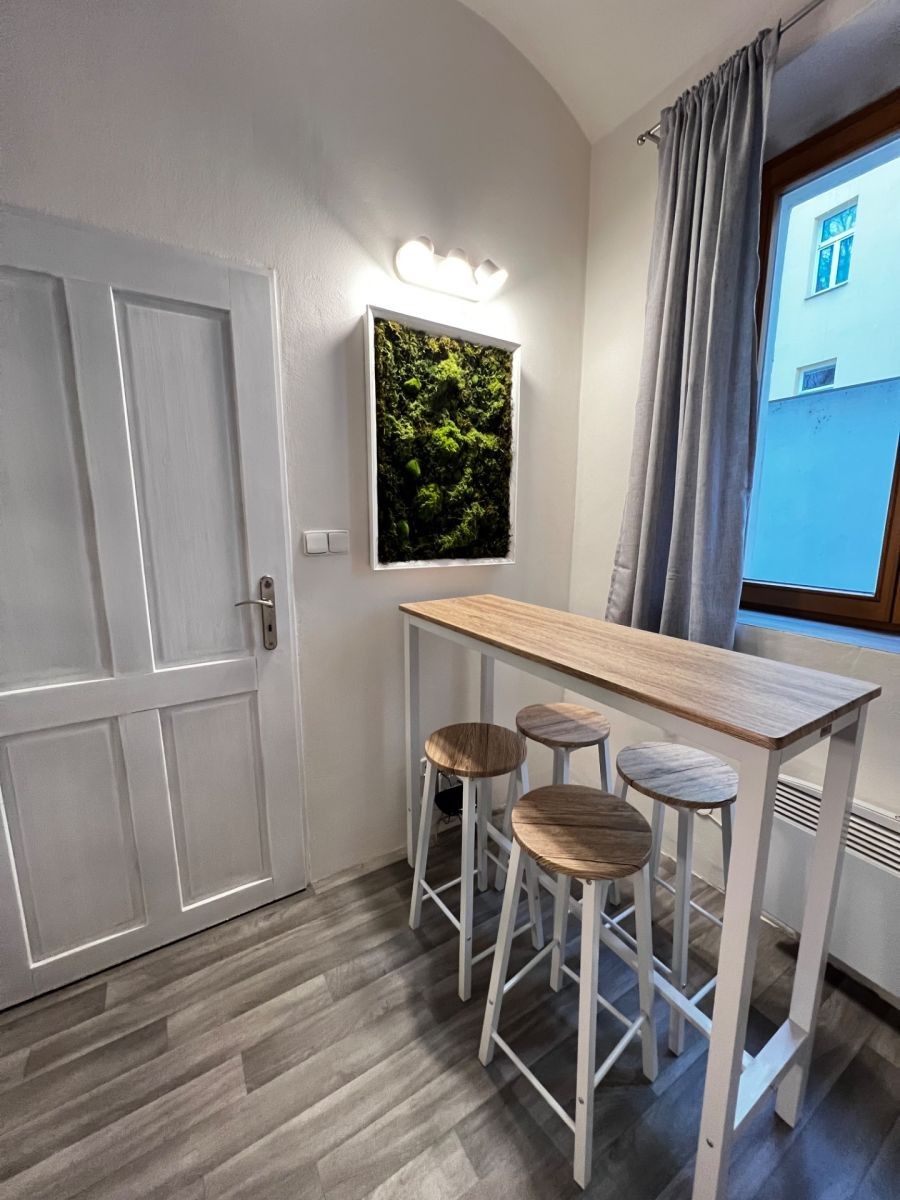 Pronájem byt 2+kk - Plzeňská, Praha - Smíchov, 35 m² - 5