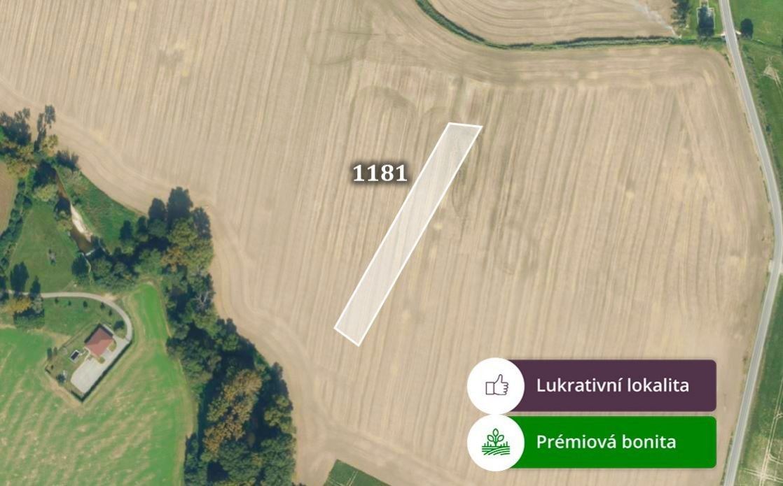 Prodej zemědělský pozemek - Bořice, 2 311 m²