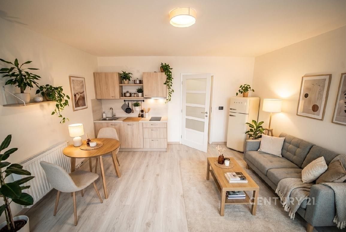 Prodej byt 1+kk - Jenišovice, 30 m²