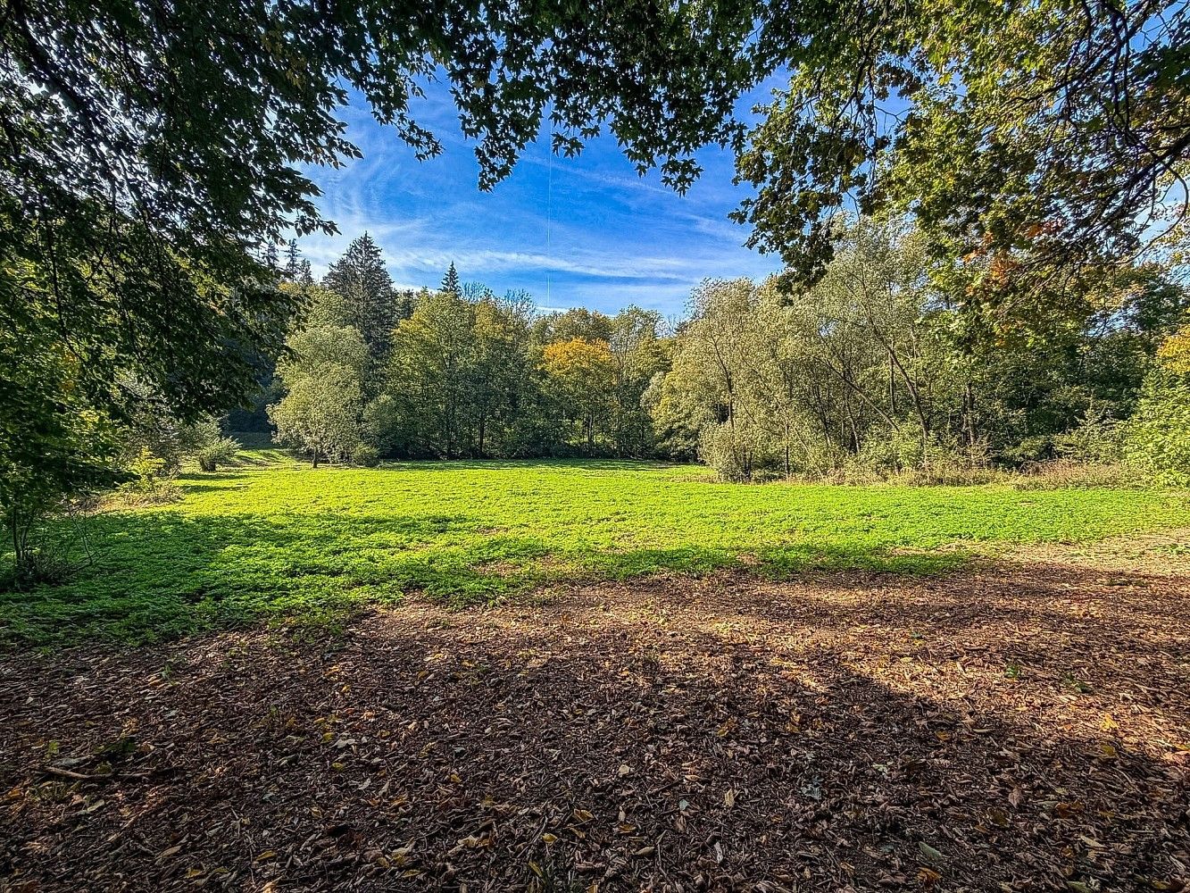 Pozemky pro bydlení, Řepníky - Popovec, okres Ústí nad Orlicí - 1