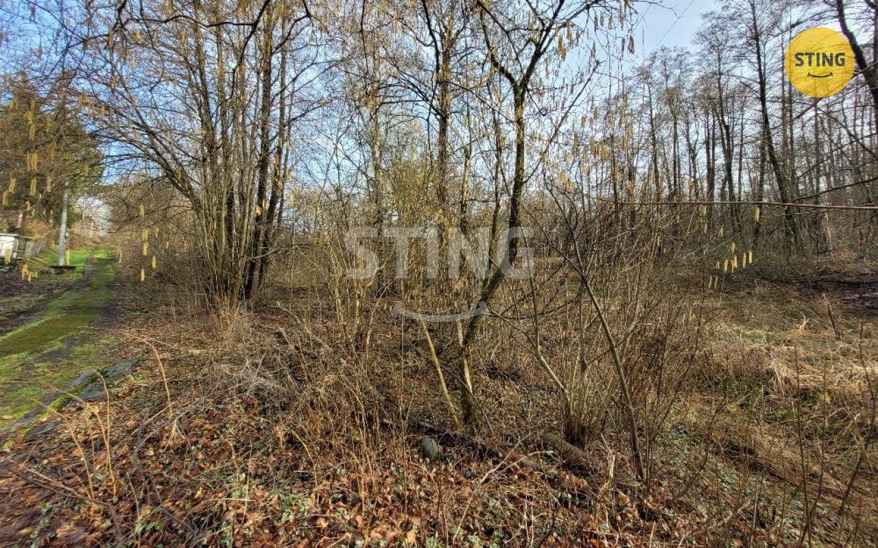 Ostatní, Bezručova, Orlová, 1 284 m²