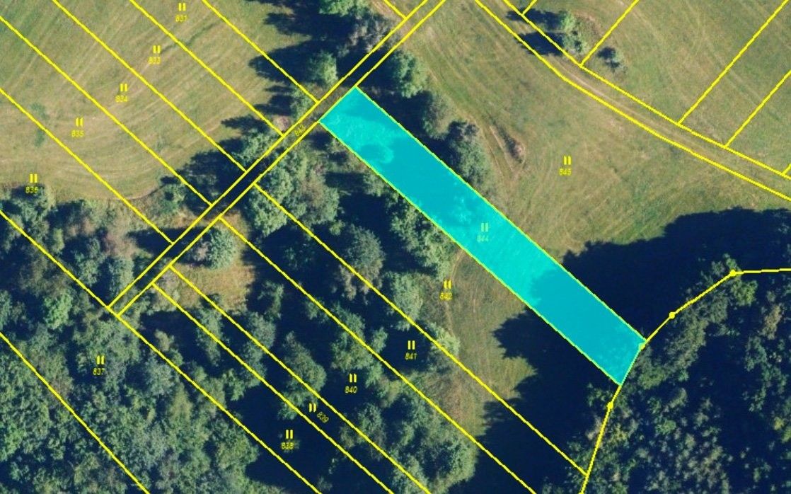 Louky, Seč, Lipová