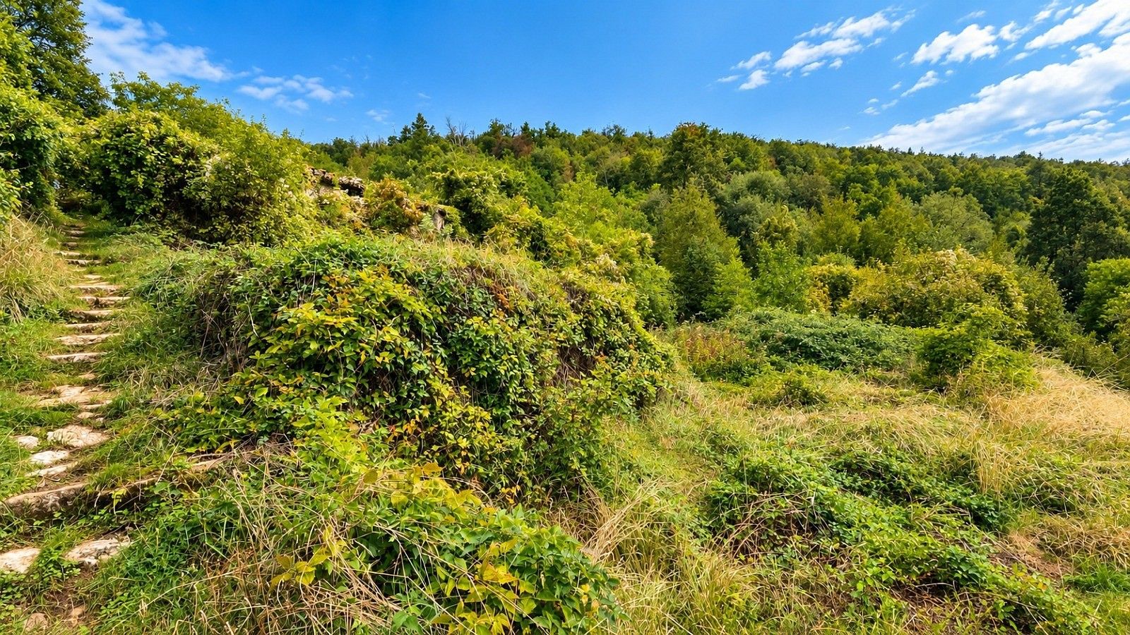 Prodej rodinný dům - Opatija - Okolica, Primorsko-goranska županija, Chorvatsko, 65 m² - 5