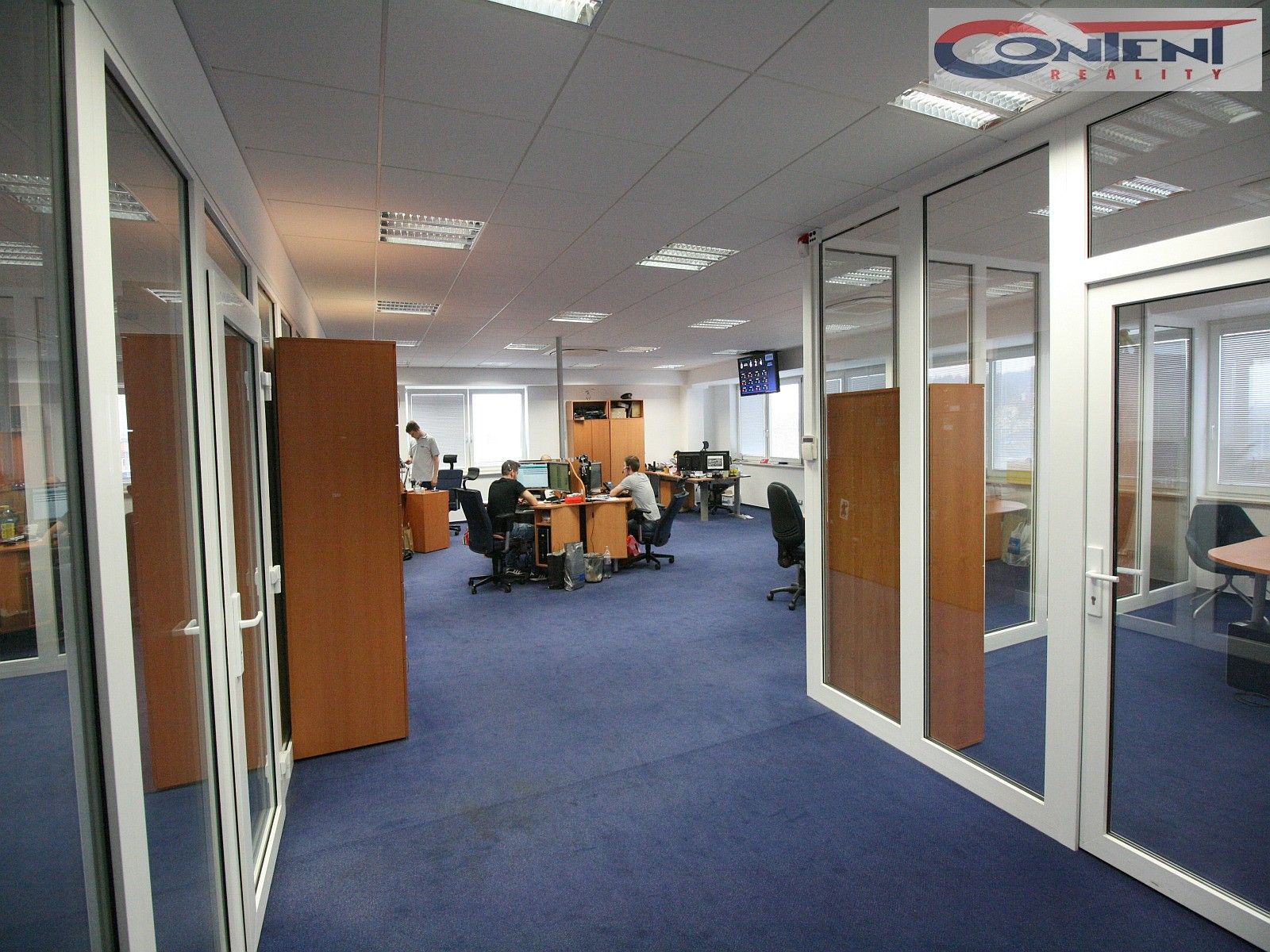 Kanceláře, Dopraváků, Praha, 210 m²