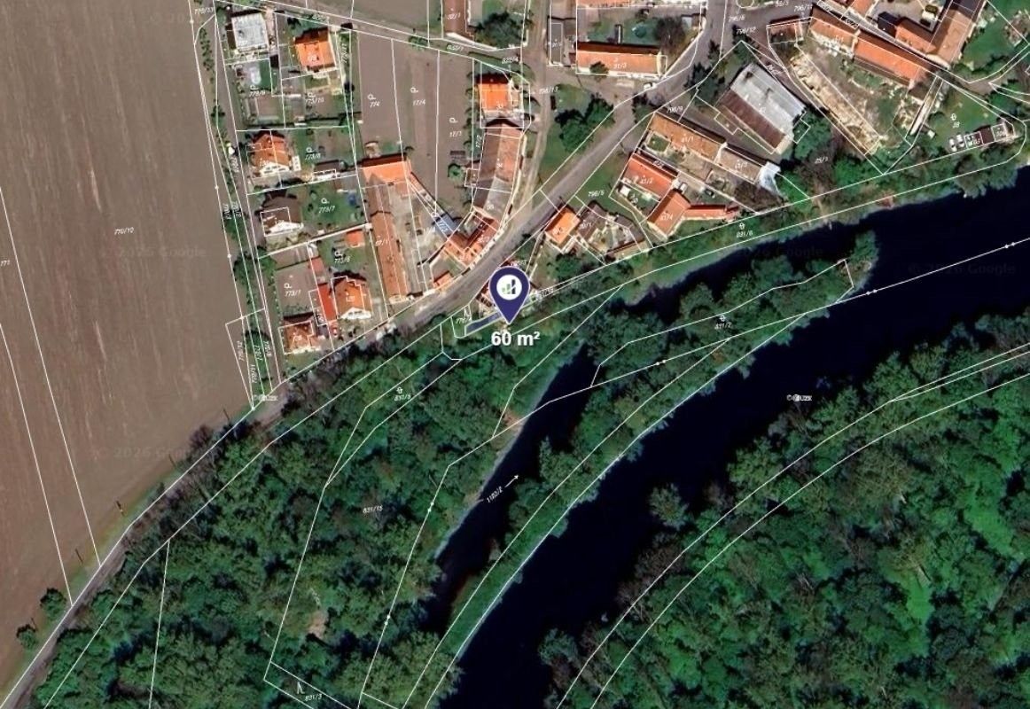 Prodej les - Budyně nad Ohří, 3 124 m²