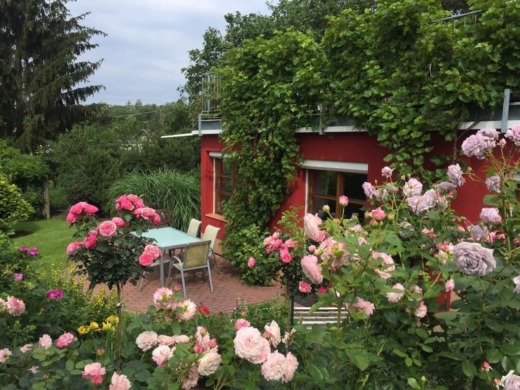 Pronájem byt - Brno, 602 00