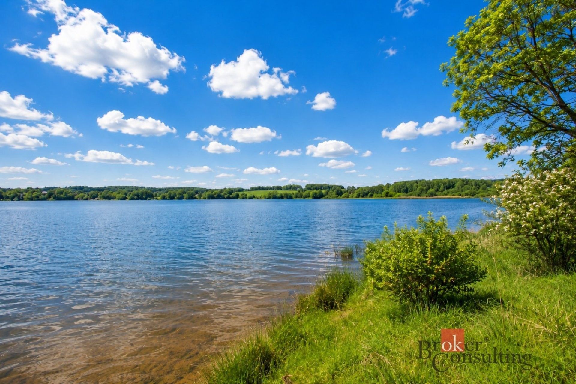 Pozemek pro bydlení · 623 m² · Podhrad, Cheb - 4