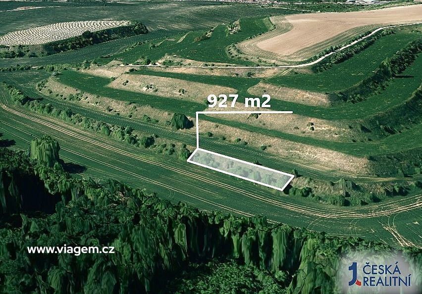 Prodej zemědělský pozemek - Uherčice, okres Břeclav, Jihomoravský kraj - 2