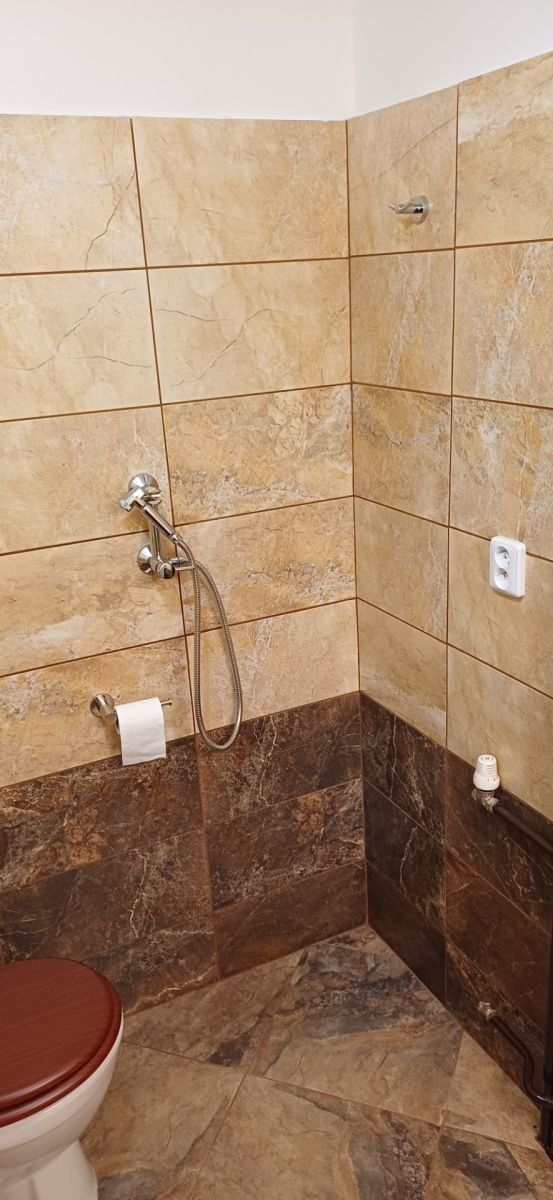 Pronájem byt 1+1 - Palírenská, Brno - Medlánky, Jihomoravský kraj, 29 m² - 5