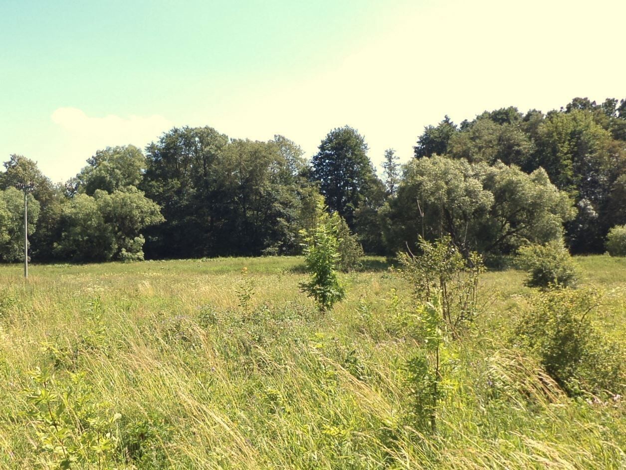 Zemědělské pozemky, Meziměstí, 28 m²