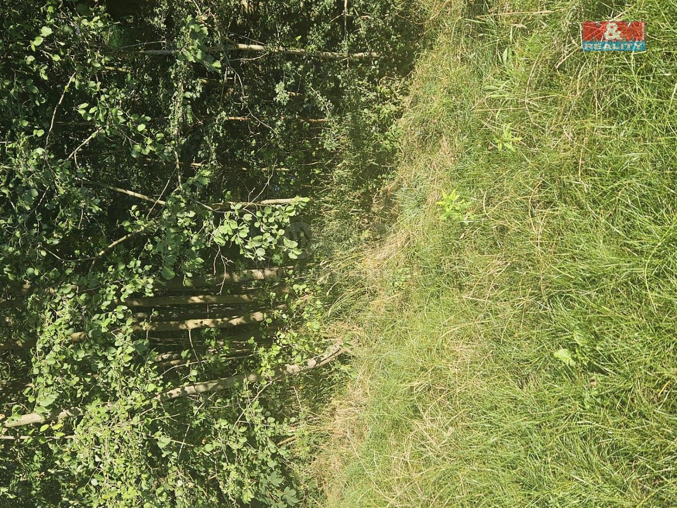 Prodej zemědělský pozemek - Bystřice, okres Frýdek-Místek, Moravskoslezský kraj - 5