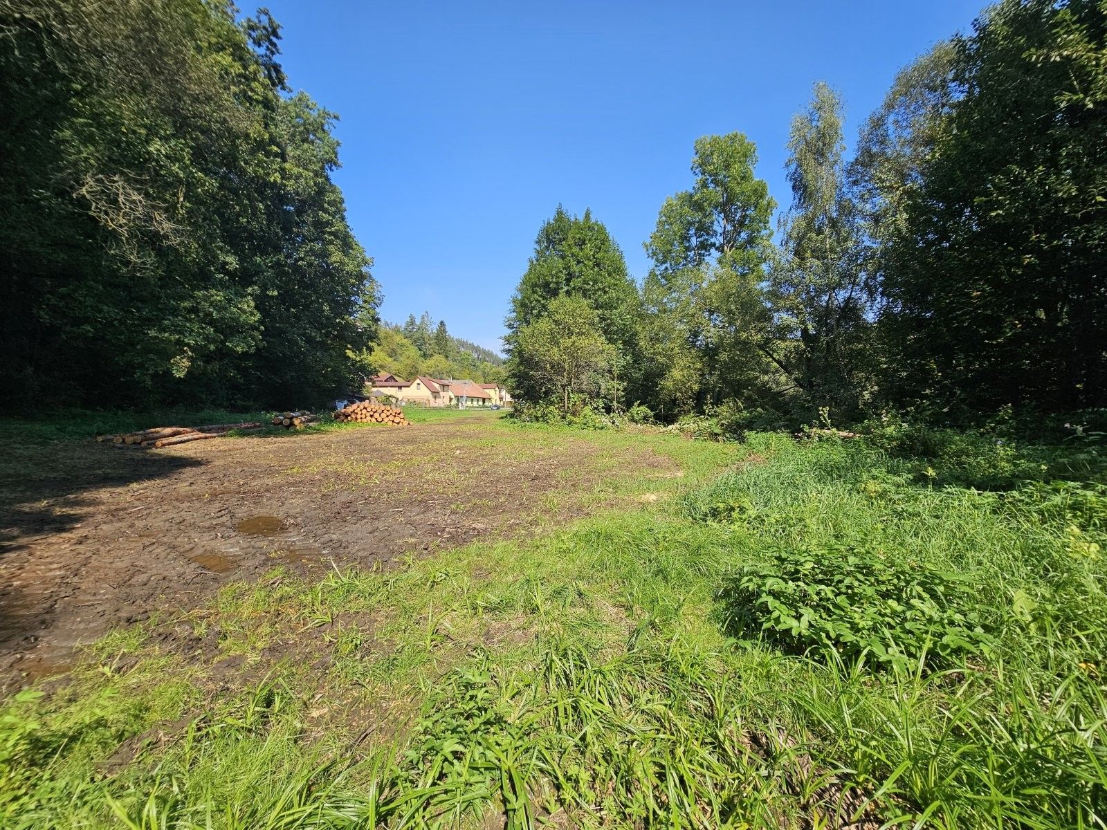 Louky, Podlesí, Letovice, 1 981 m²