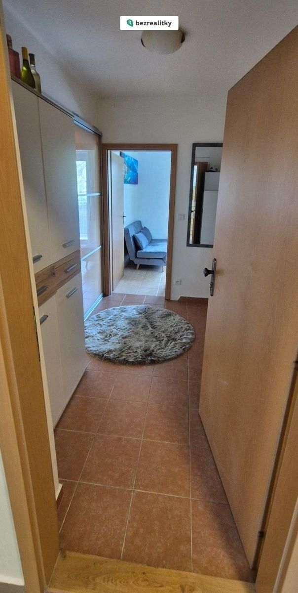 Byt 1+1 · 45 m² · Slapy - 4