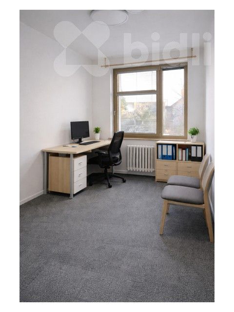 Kanceláře, Floriána Nováka, Prostějov, 15 m²