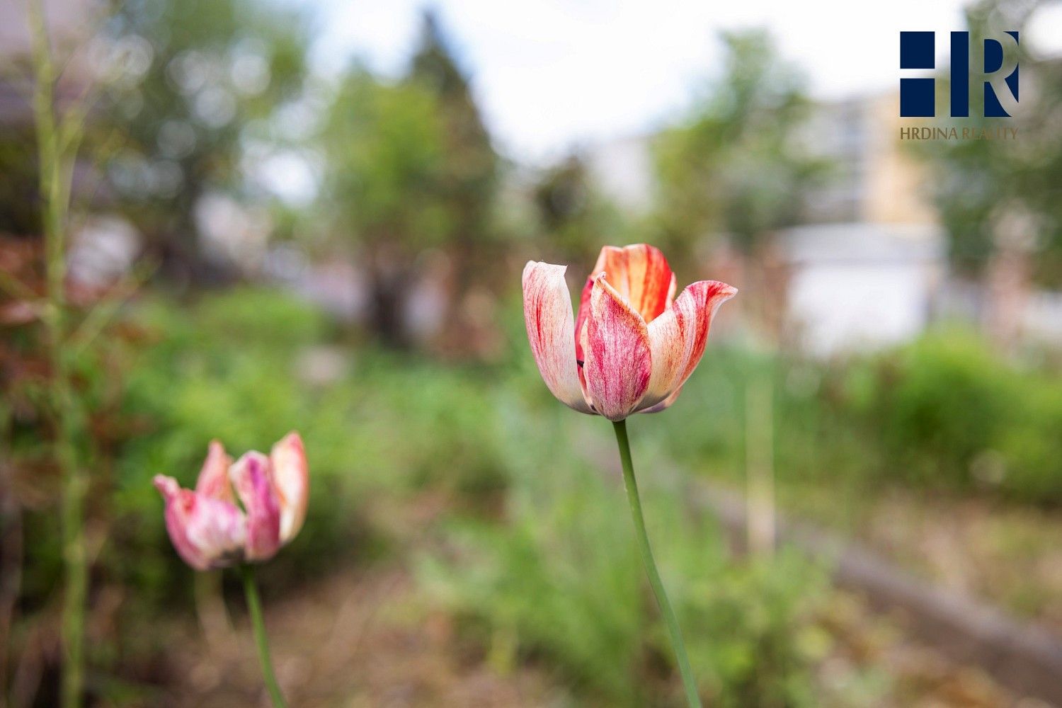 Prodej rodinný dům - Pod Floriánem, Pelhřimov, 231 m² - 5