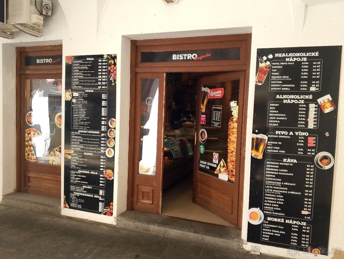 Obchodní prostory, České Budějovice, 370 01