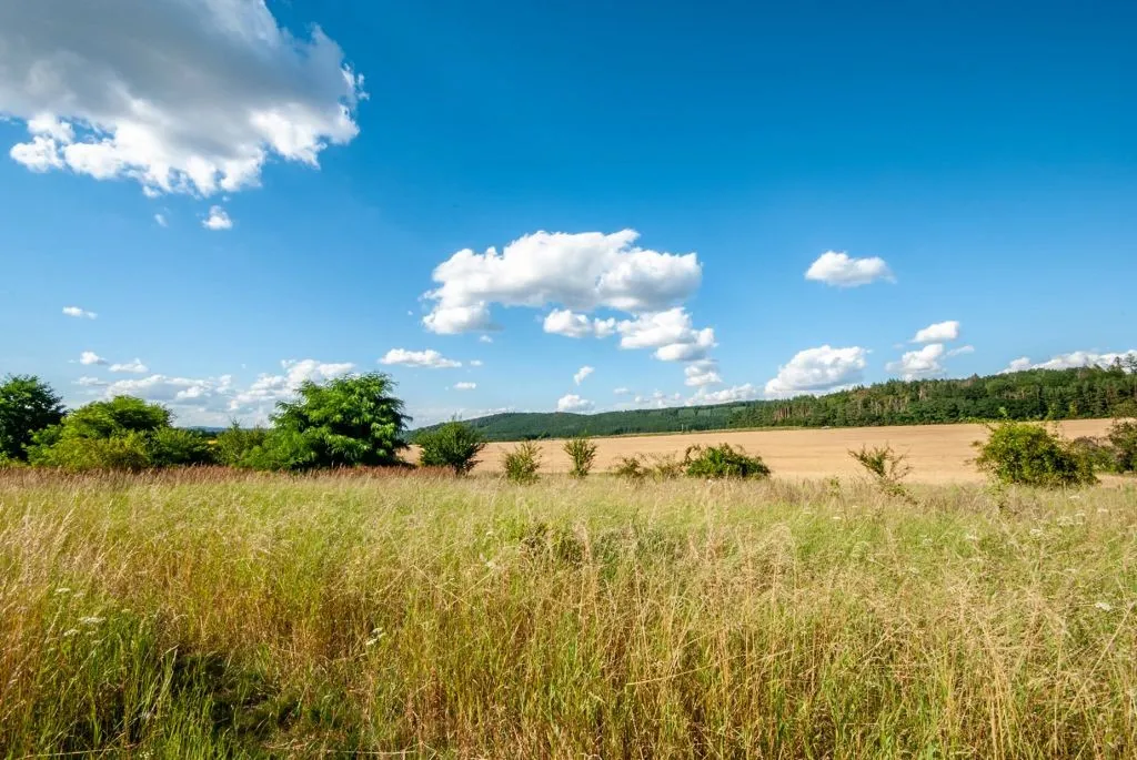 Ostatní