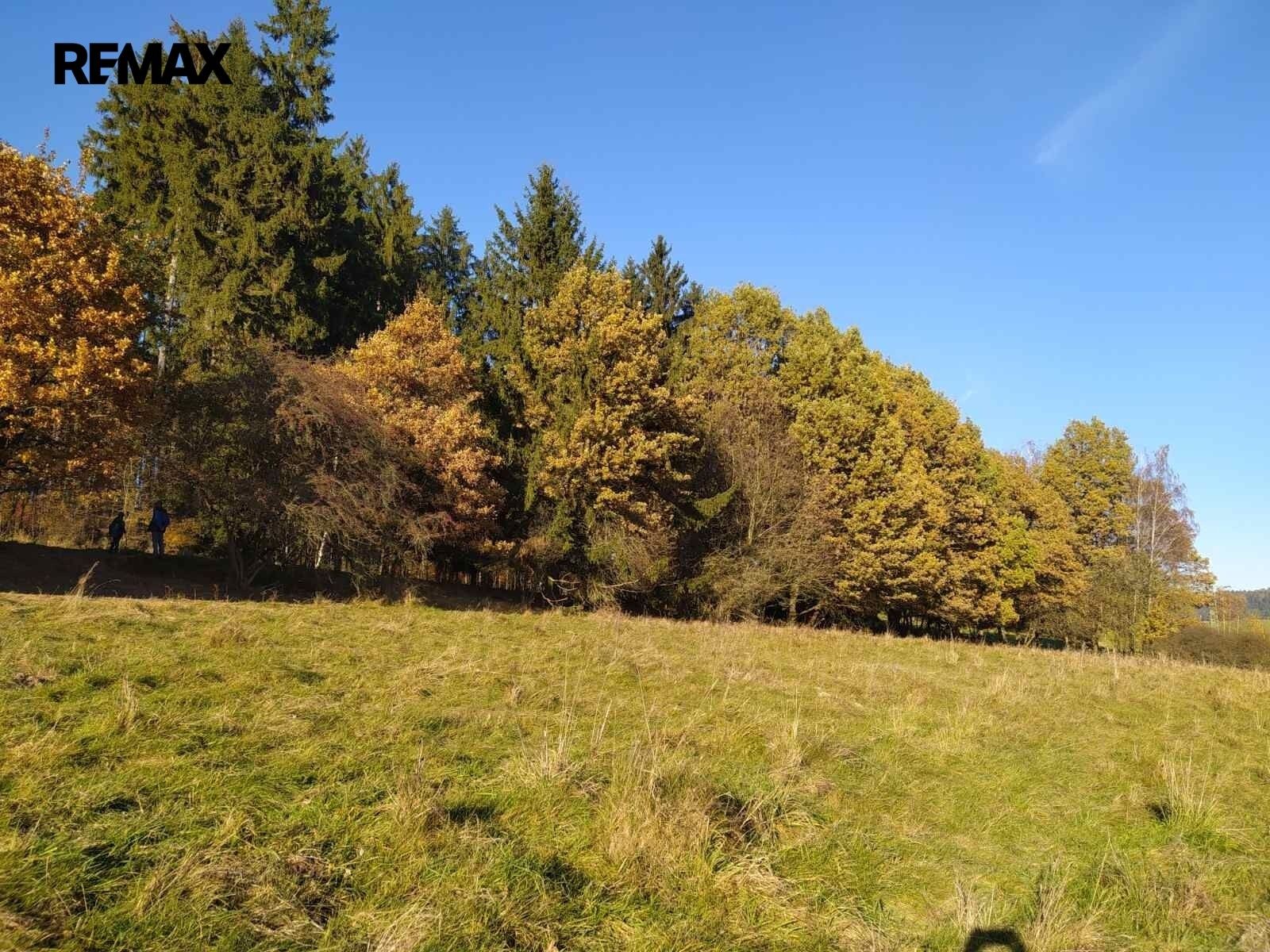 Prodej louka - Kynšperk nad Ohří, 20 332 m² - 5