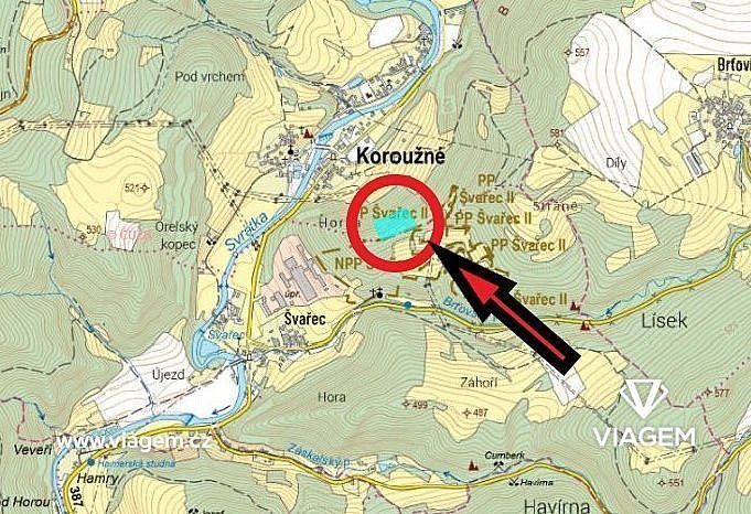 Les · Koroužné, okres Žďár nad Sázavou, Kraj Vysočina - 4