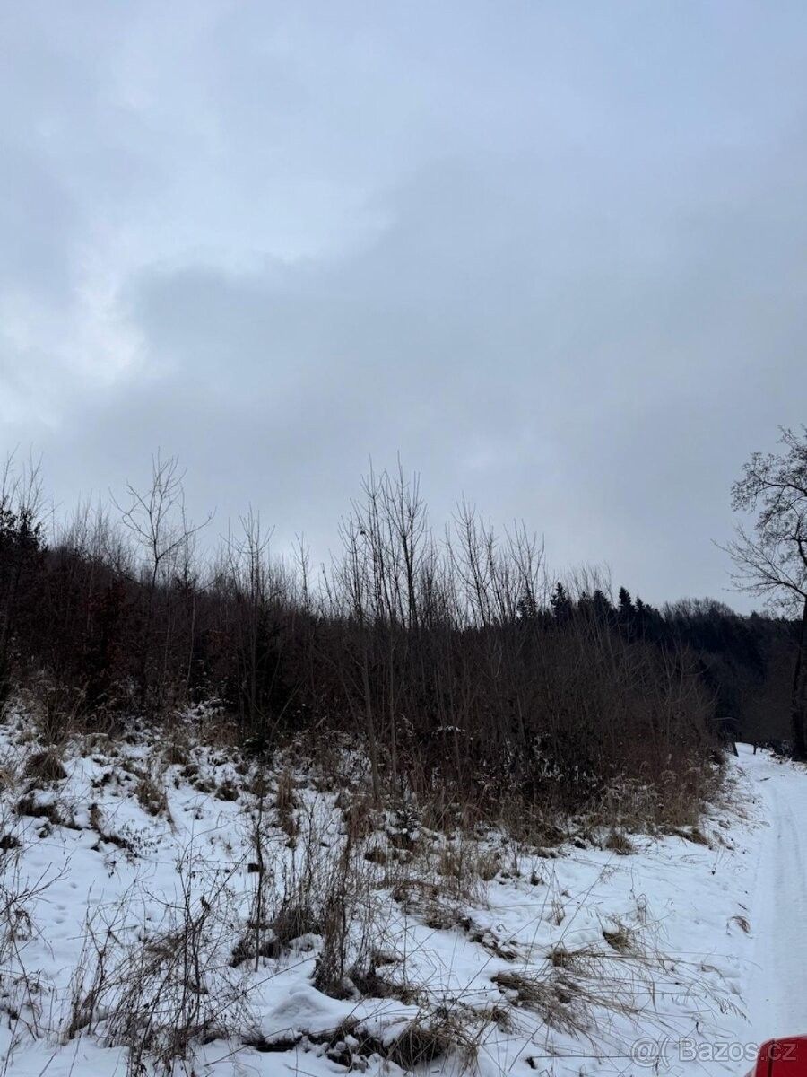 Prodej pozemek pro bydlení - Valašská Bystřice, 756 27