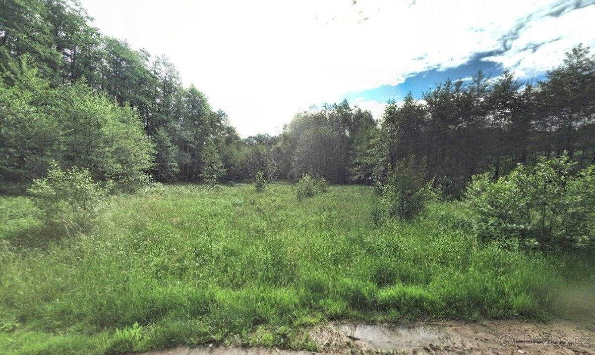 Pozemky pro bydlení, Dětmarovice, 735 71 - 2