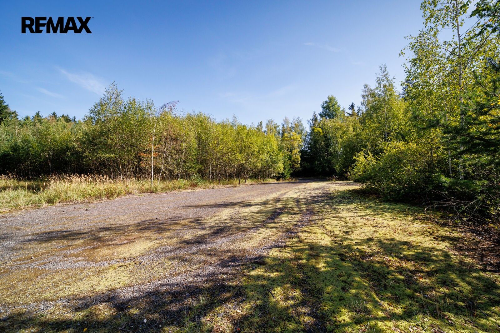 Pozemek · 29 629 m² · Děpoltovice - 4