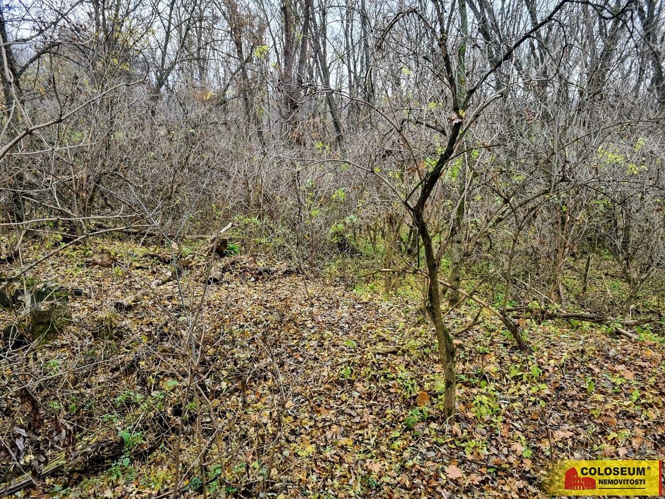 Pozemek pro bydlení · Rousínov - Čechyně, okres Vyškov, Jihomoravský kraj - 4